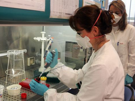 Vogelgrippe Tests im Labor