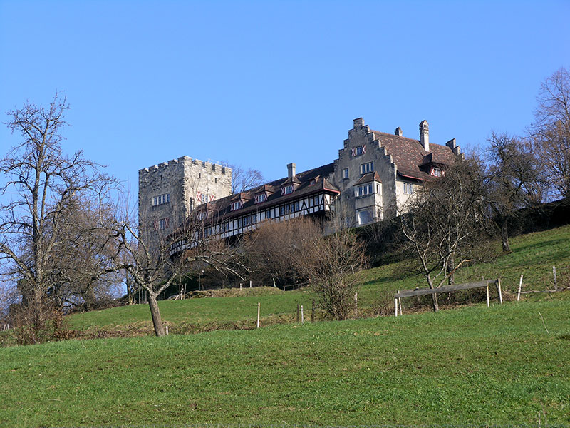 Wolfurt Schloss