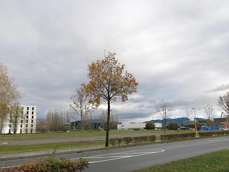 Lustenau IKEA Grundstück